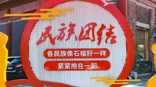 看图学习丨推进中华民族共同体建设  总书记强调这是全党全国各族人民共同任务